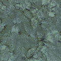 Bali Batik Watercolors Earl Grey