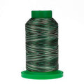 Isacord #9982 Pine Forest Multi Color
