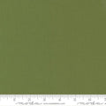 Bella Solids Terrain Cactus