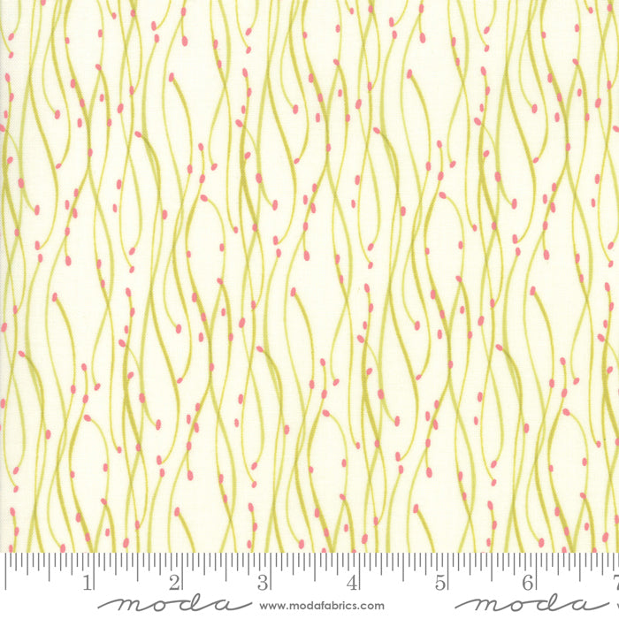 Abby Rose Greenery