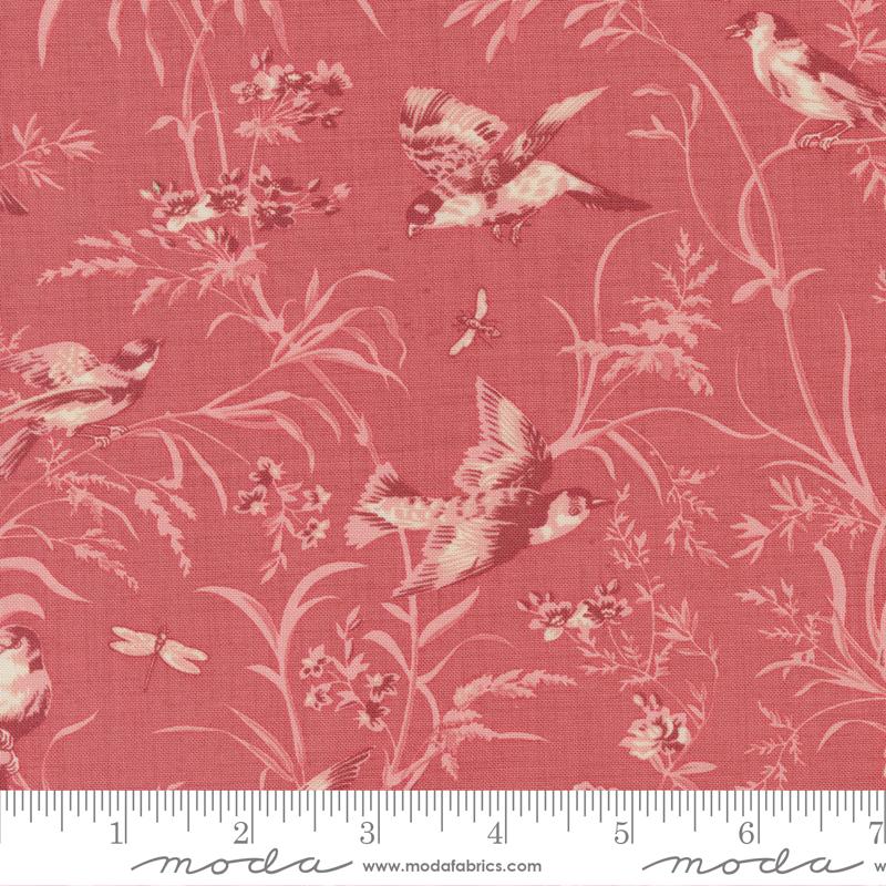 Antoinette Faded Red Wings