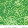 Bahama Batik Palm