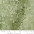 Desert Oasis in Cypress color