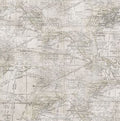 Monochrome Expedition Parchment
