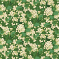 Winterberry Holly Berry Green