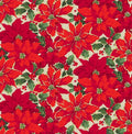 Winterberry Poinsettia