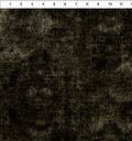 Halcyon Tonals by Jason Yenter for In the Beginning Fabrics in Black