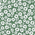 Merry Mix Poinsettia - Green