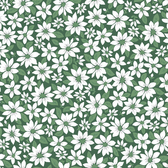 Merry Mix Poinsettia - Green