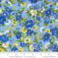 Summer Breeze Sky Multi