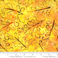 Sunny Day Batiks Sunshine Abstract