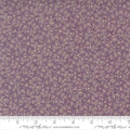 Wild Orchid Moth Purple