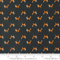 Woodland Wonder Midnight Fox