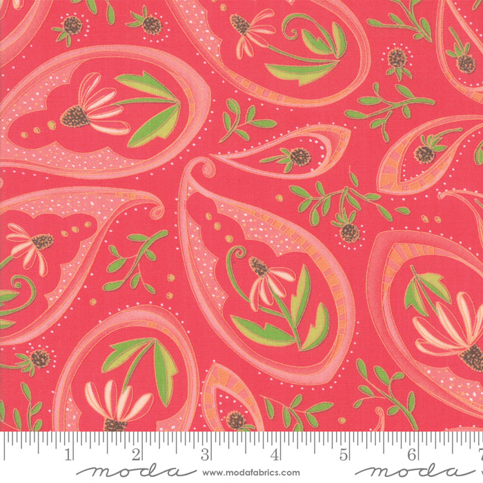Painted Meadow Passion Paisley Coral