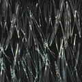 Scattered Line Licorice