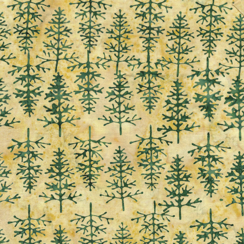 Yellow Butter Tree
