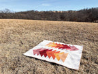 Cozy Quilts for the Modern Home 11623