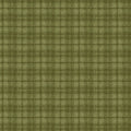 Woolies Flannel with Plaid in Green by Maywood Studio